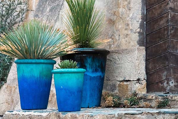 Image of stunning blue glazed plant containers  in front of a stone wall